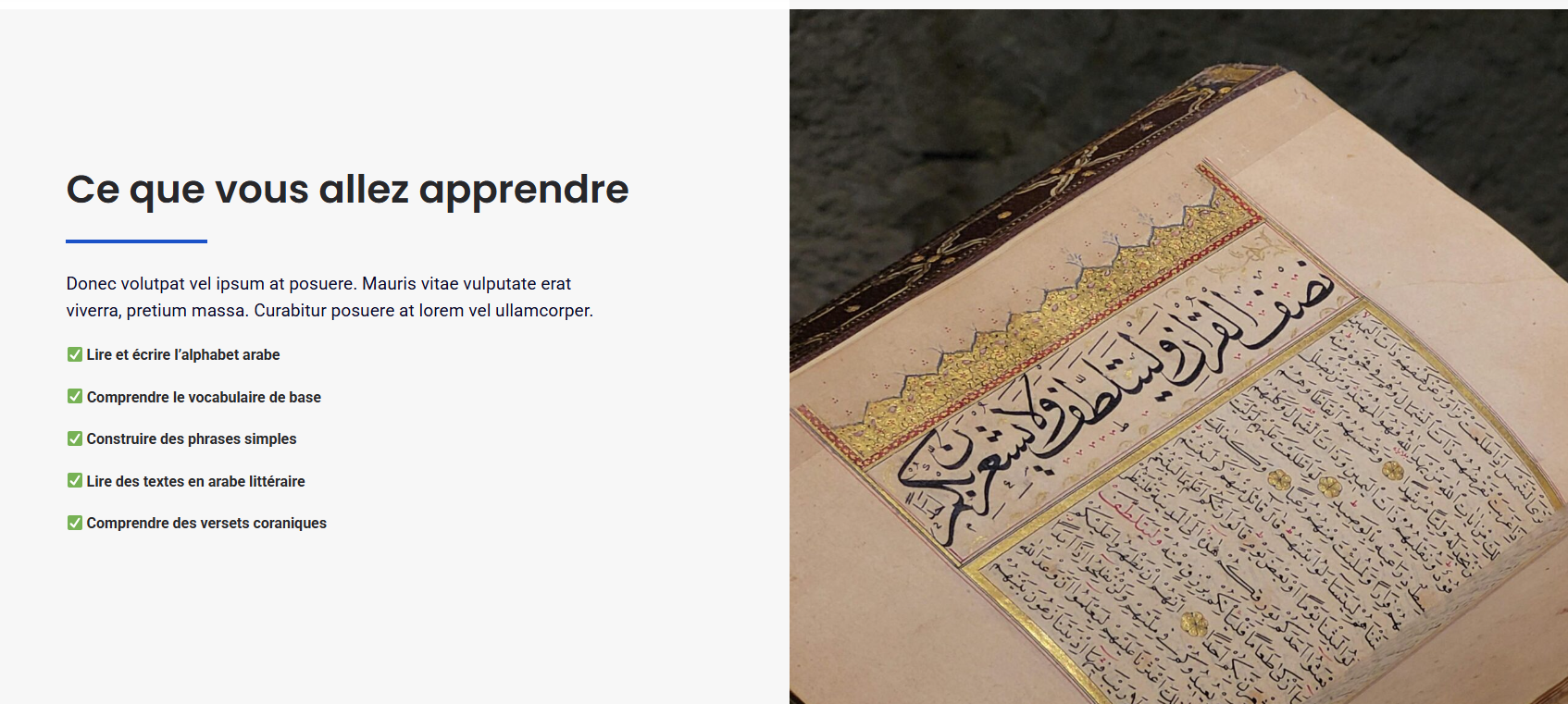 formation d'arabe en ligne